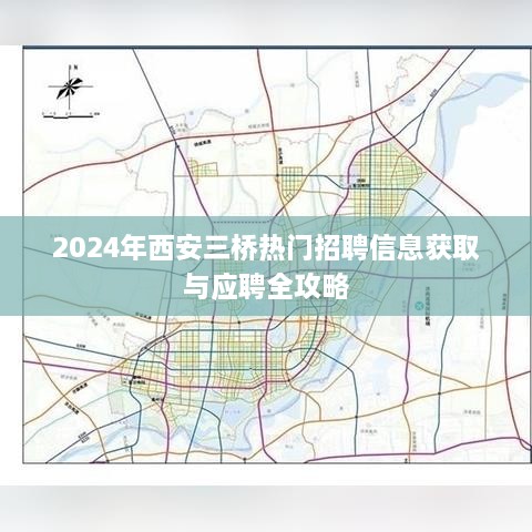 2024年12月1日 第13页