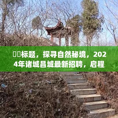 探寻自然秘境，诸城昌城最新招聘启程心灵之旅，2024年招募启事