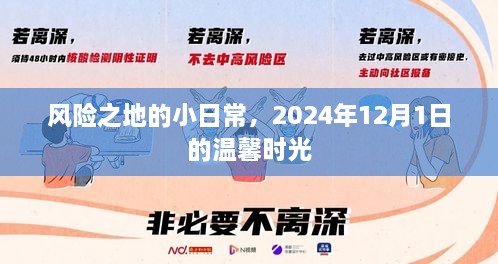 风险之地温馨日常，2024年12月1日的记忆