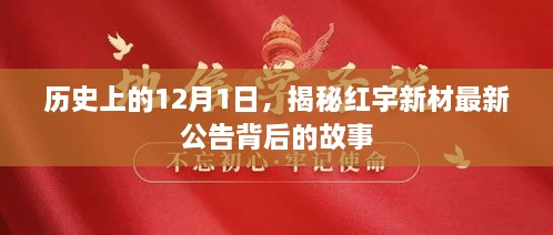 2024年12月1日 第3页