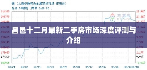 2024年12月2日 第46页