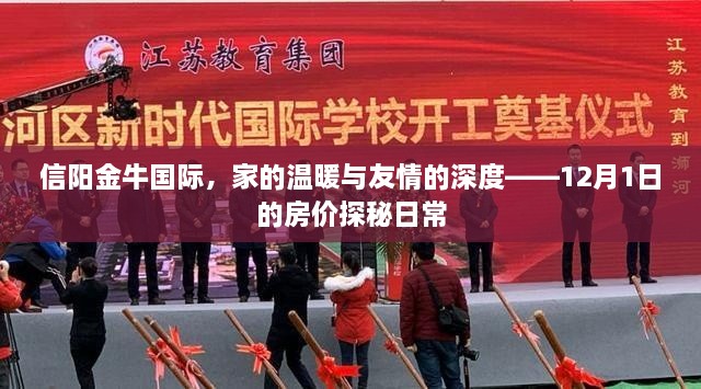 信阳金牛国际，探寻房价背后的温情与友情深度日常——12月1日房价解析