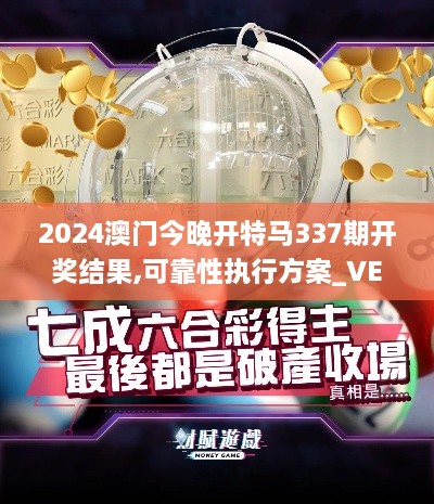 2024澳门今晚开特马337期开奖结果,可靠性执行方案_VE版27.431-4