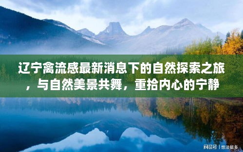 辽宁禽流感最新动态下的自然探索之旅，与自然共舞，重觅心灵宁静