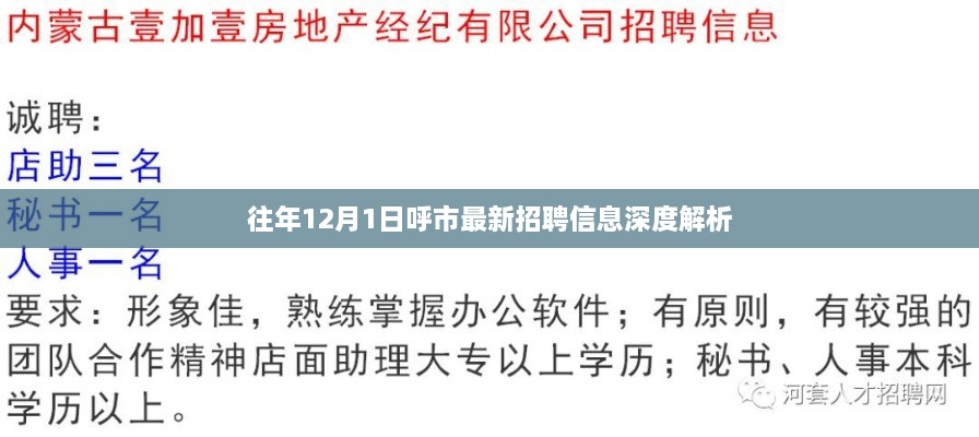 呼市最新招聘信息深度解析，历年12月1日招聘概况回顾