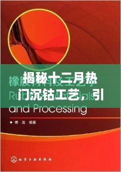 2024年12月2日 第7页