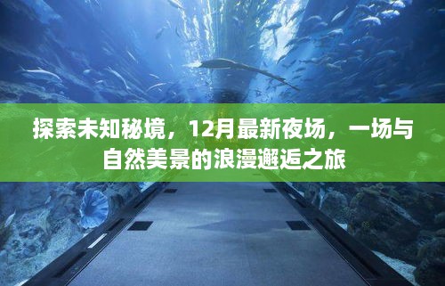 探索未知秘境，12月最新夜场，与自然美景的浪漫邂逅之旅