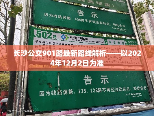 长沙公交901路最新路线解析（截至2024年12月2日）