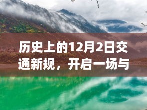 2024年12月3日 第36页