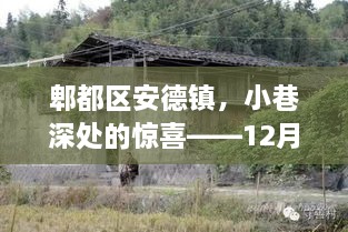 郫都区安德镇小巷深处的特色小店探秘之旅——12月2日探秘记