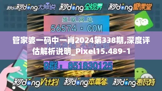 管家婆一码中一肖2024第338期,深度评估解析说明_Pixel15.489-1