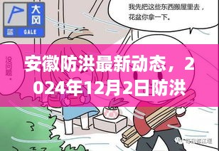 安徽防洪最新动态，深度评测防洪措施进展与成效（截至2024年12月2日）