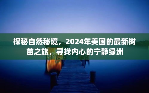 2024年12月3日 第11页