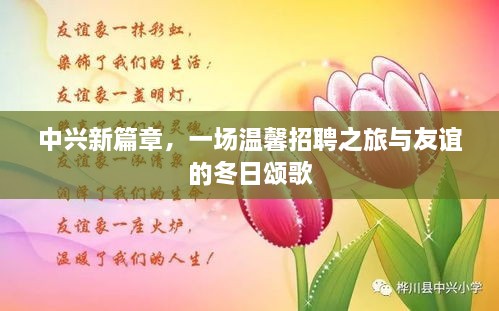 中兴新篇章，招聘之旅与冬日友谊颂歌