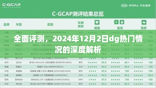 全面评测深度解析，2024年12月2日DG热门情况综述