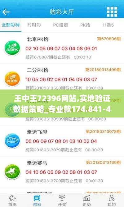 王中王72396网站,实地验证数据策略_专业款174.841-4