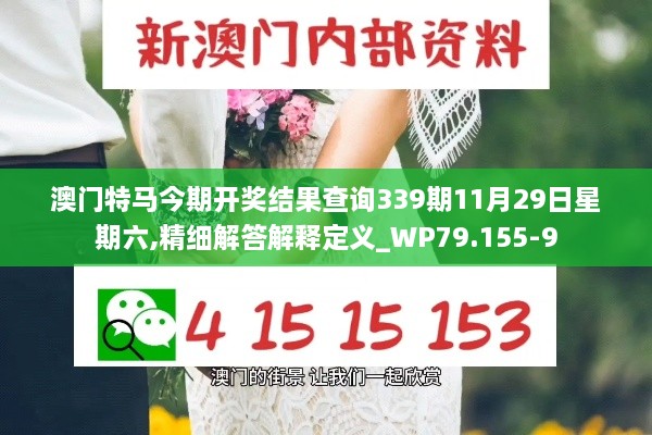 澳门特马今期开奖结果查询339期11月29日星期六,精细解答解释定义_WP79.155-9