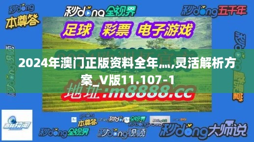 2024年澳门正版资料全年灬,灵活解析方案_V版11.107-1