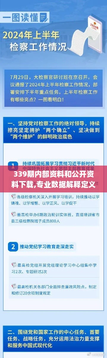 339期内部资料和公开资料下载,专业数据解释定义_SHD3.989-8