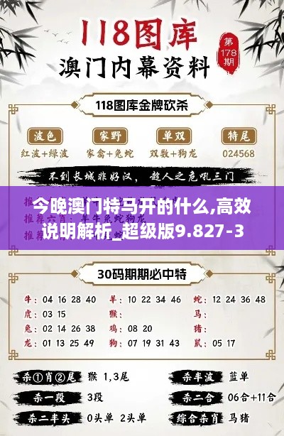 今晚澳门特马开的什么,高效说明解析_超级版9.827-3