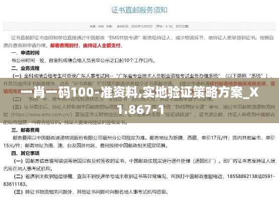 一肖一码100-准资料,实地验证策略方案_X1.867-1