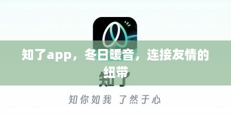 知了app，冬日暖音，友情纽带