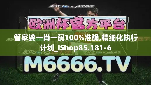 管家婆一肖一码100%准确,精细化执行计划_iShop85.181-6