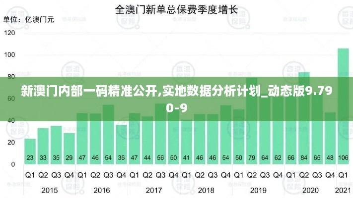 新澳门内部一码精准公开,实地数据分析计划_动态版9.790-9