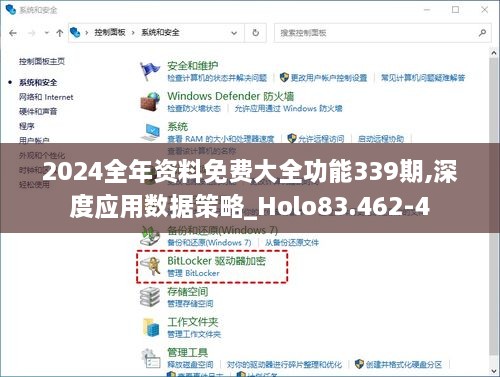 2024全年资料免费大全功能339期,深度应用数据策略_Holo83.462-4