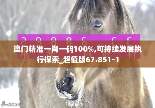 澳门精准一肖一码100%,可持续发展执行探索_超值版67.851-1