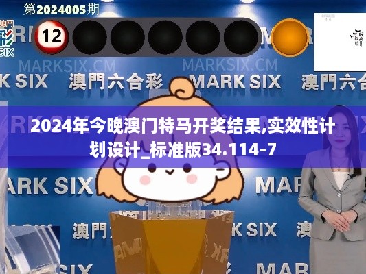 2024年今晚澳门特马开奖结果,实效性计划设计_标准版34.114-7