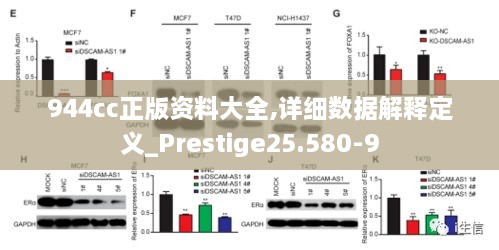 2024年12月4日 第41页