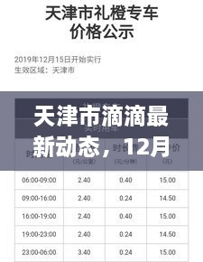 天津市滴滴最新动态深度解读，12月2日更新资讯