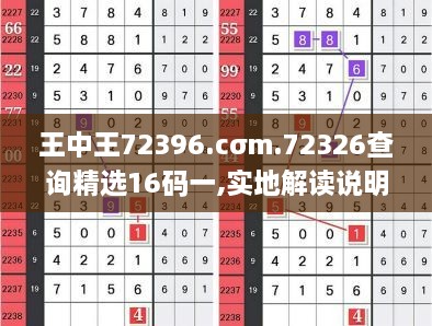 王中王72396.cσm.72326查询精选16码一,实地解读说明_冒险版97.226-5