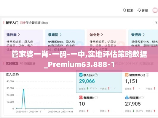 管家婆一肖-一码-一中,实地评估策略数据_Premium63.888-1