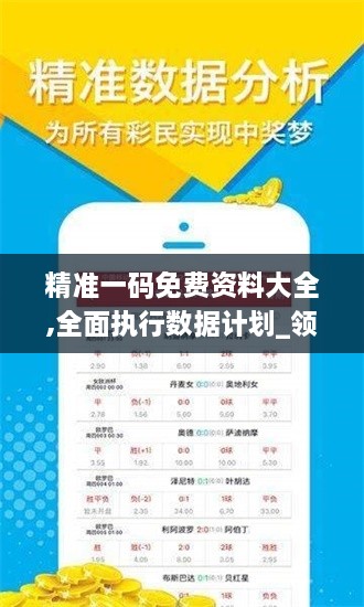 精准一码免费资料大全,全面执行数据计划_领航版85.207-7