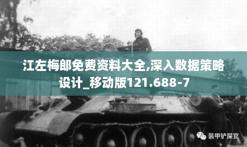 江左梅郎免费资料大全,深入数据策略设计_移动版121.688-7