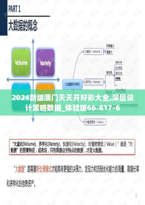 2024新版澳门天天开好彩大全,深层设计策略数据_体验版66.817-6