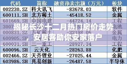 2024年12月4日 第21页