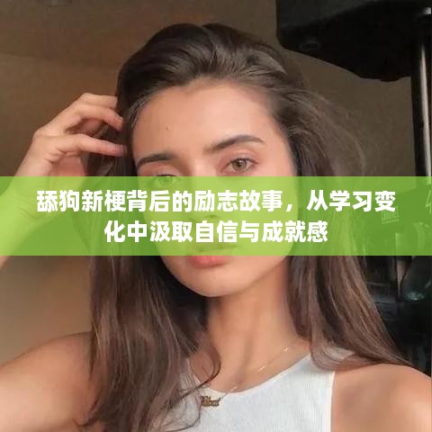 舔狗新梗背后的励志蜕变，学习变化中的自信与成就感之旅