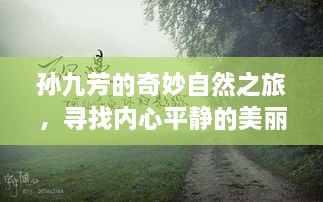 孙九芳的秘境之旅，探寻内心平静的美丽自然