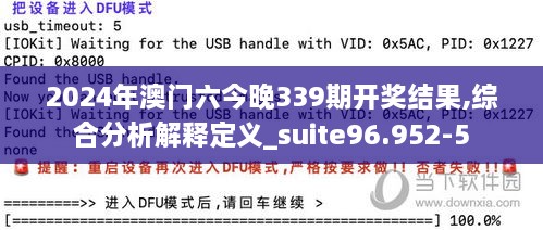 2024年澳门六今晚339期开奖结果,综合分析解释定义_suite96.952-5