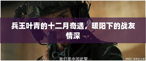 兵王叶青的十二月奇遇，暖阳下的深厚战友情