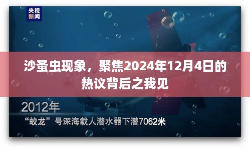 沙蚤虫现象热议背后的观察与思考（2024年12月4日聚焦）