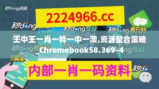 王中王一肖一特一中一澳,资源整合策略_Chromebook58.369-4