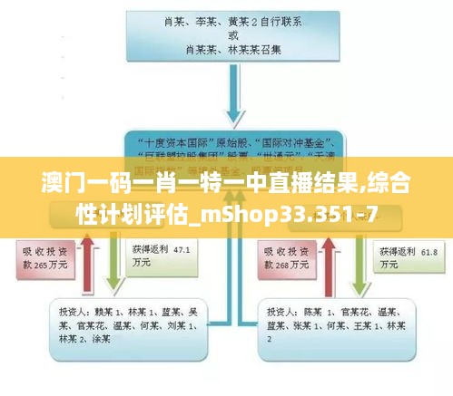 澳门一码一肖一特一中直播结果,综合性计划评估_mShop33.351-7