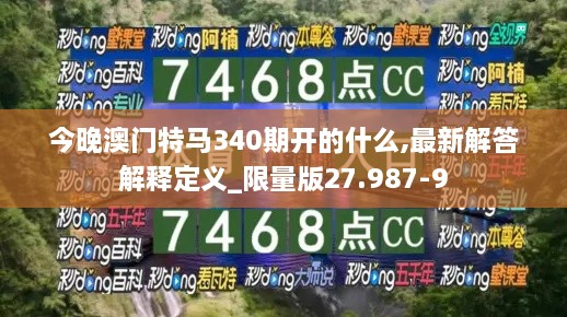 今晚澳门特马340期开的什么,最新解答解释定义_限量版27.987-9