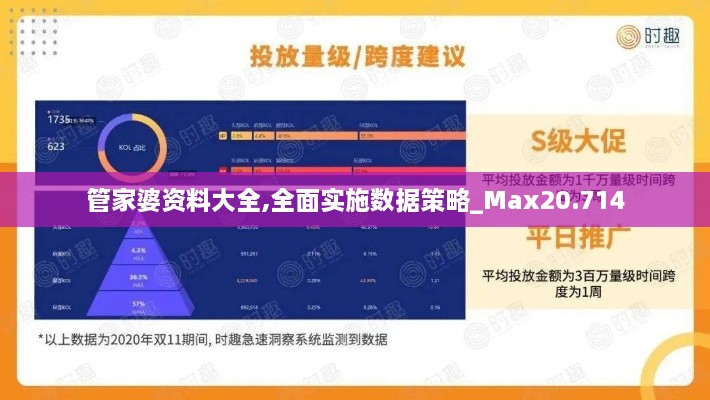 管家婆资料大全,全面实施数据策略_Max20.714