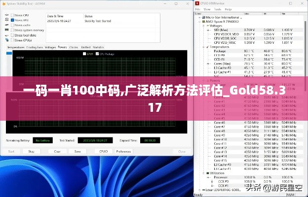 一码一肖100中码,广泛解析方法评估_Gold58.317