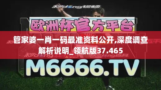 管家婆一肖一码最准资料公开,深度调查解析说明_领航版37.465